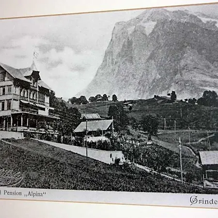 Restaurant Alpina Hotel 3*