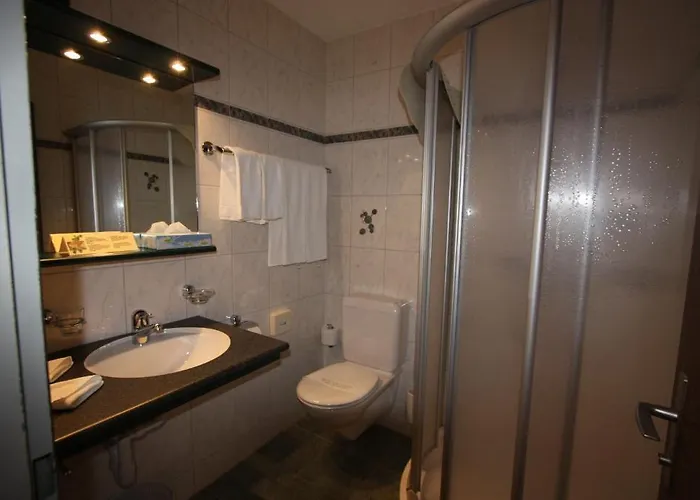 مطعم ألبينا فندق