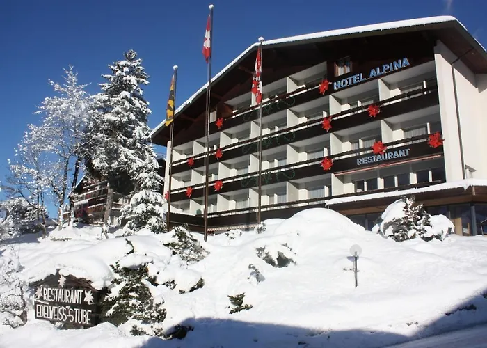 مطعم ألبينا