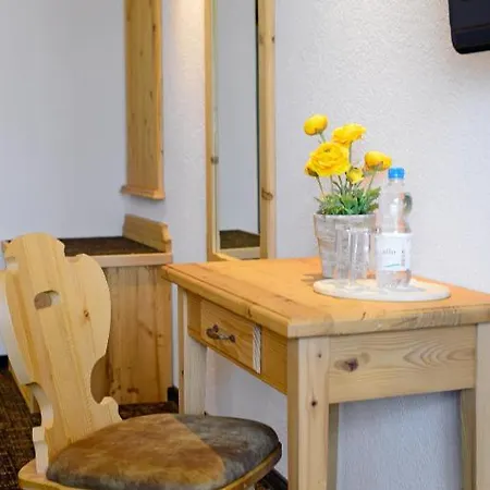 Отель Restaurant Alpina 3*