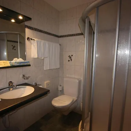 Restaurant Alpina Отель