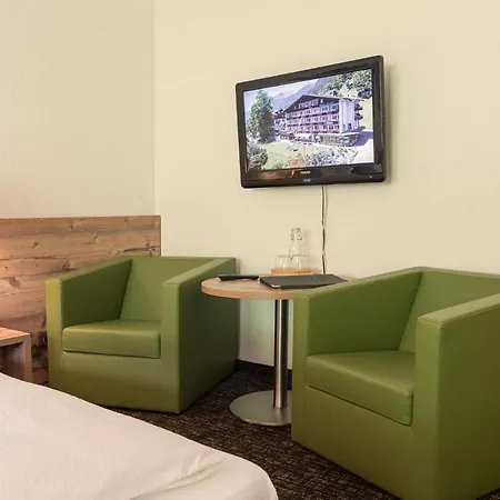 레스토랑 알피나 3* 그린델발트